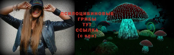 apvp Покровск