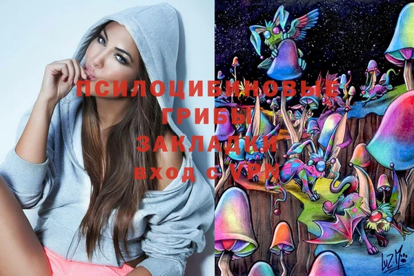 мескалин Пролетарск