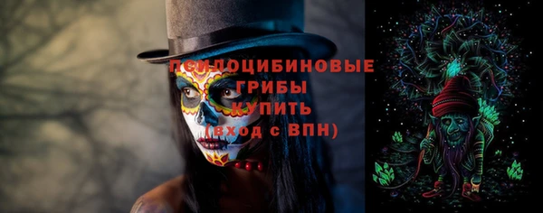 apvp Покровск