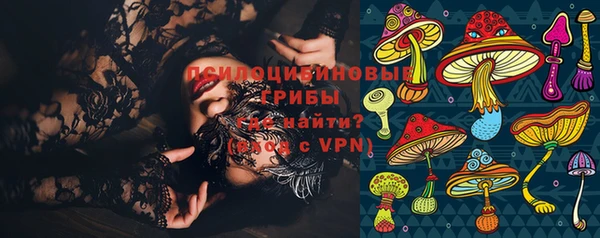 шишки Покров