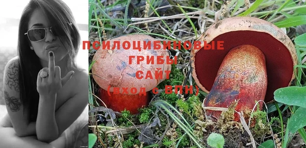 МДПВ Приозерск
