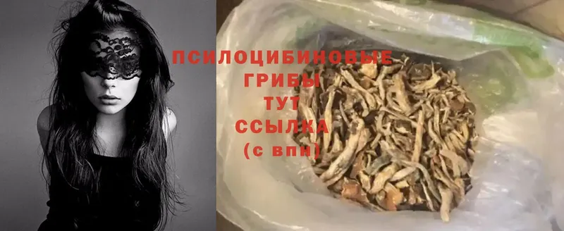 Галлюциногенные грибы Psilocybe  Барабинск 