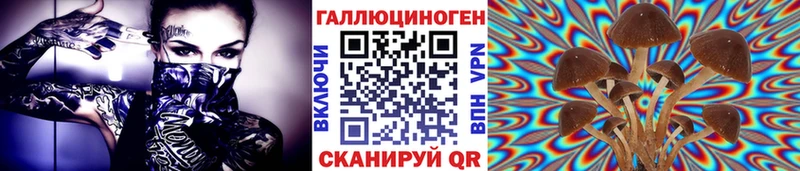 Псилоцибиновые грибы Psilocybe  магазин продажи наркотиков  Барабинск 
